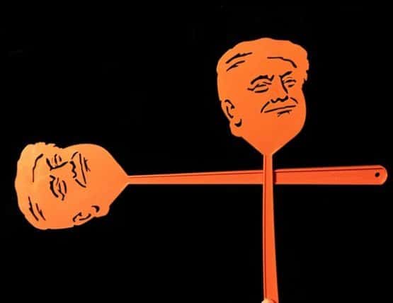Fly swatter Trump fly swatter